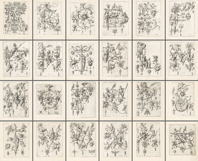 Nova Alphati Effictio 24 Renaissance Lettering Pages Product Image 2