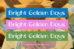 Novas Lumina - Freestyle Font Product Image 17