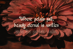 Nowdart | Blackletter Typeface Product Image 4