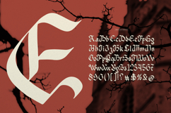 Nowdart | Blackletter Typeface Product Image 10