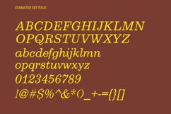 Nuflek Display Serif Font Product Image 6