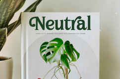 Nugira Rilasto - Modern Retro Serif Font Product Image 16