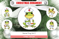 Ornament Nurse Frog Product Image 1