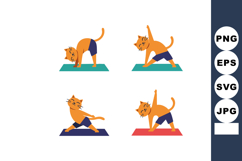 Cat performing yoga poses on colorful mats with orange and b Product Image 1