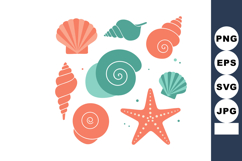 Collection of colorful seashells and starfish vector in cora Product Image 1