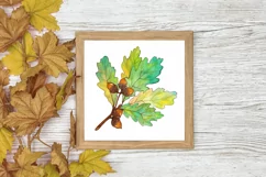 Set of 3 Watercolor Fall Prints | Autumn Leaves | Wall Art Product Image 4