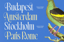 Oathfire - Elegant Classic Serif Product Image 6