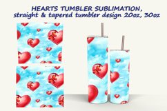 Mega Bundle Tumbler PNG Sublimation design Product Image 13