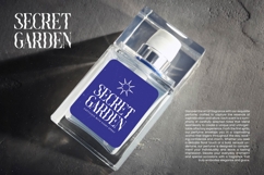 Ocean Fluid - Experimental Display Serif Product Image 5