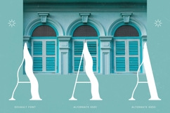 Ocean Fluid - Experimental Display Serif Product Image 12