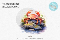 Ocean Sea Life Nautical Seascape Crab Undersea World PNG Art Watercolor Transparent wedding invitation shirt designs sublimation printable bloom architecture