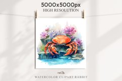 Ocean Sea Life Nautical Seascape Crab Undersea World PNG Art Watercolor Transparent wedding invitation shirt designs sublimation printable bloom architecture