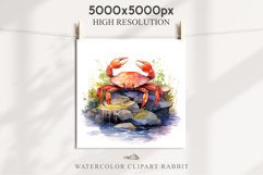 Ocean Sea Life Nautical Seascape Crab Undersea World PNG Art Watercolor Transparent wedding invitation shirt designs sublimation printable bloom architecture