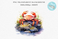 Ocean Sea Life Nautical Seascape Crab Undersea World PNG Art Watercolor Transparent wedding invitation shirt designs sublimation printable bloom architecture