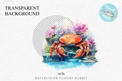 Ocean Sea Life Nautical Seascape Crab Undersea World PNG Art Watercolor Transparent wedding invitation shirt designs sublimation printable bloom architecture