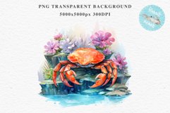 Ocean Sea Life Nautical Seascape Crab Undersea World PNG Art Watercolor Transparent wedding invitation shirt designs sublimation printable bloom architecture