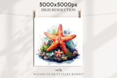 Ocean Sea Life Nautical Seascape Starfish Undersea World PNG Art Watercolor Transparent wedding invitation shirt designs sublimation printable bloom