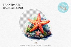 Ocean Sea Life Nautical Seascape Starfish Undersea World PNG Art Watercolor Transparent wedding invitation shirt designs sublimation printable bloom