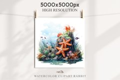 Ocean Sea Life Nautical Seascape Starfish Undersea World PNG Art Watercolor Transparent wedding invitation shirt designs sublimation printable bloom