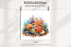 Ocean Sea Life Nautical Seascape Starfish Undersea World PNG Art Watercolor Transparent wedding invitation shirt designs sublimation printable bloom