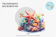 Ocean Sea Life Nautical Seascape Starfish Undersea World PNG Art Watercolor Transparent wedding invitation shirt designs sublimation printable bloom