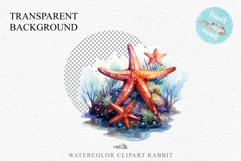 Ocean Sea Life Nautical Seascape Starfish Undersea World PNG Art Watercolor Transparent wedding invitation shirt designs sublimation printable bloom architecture