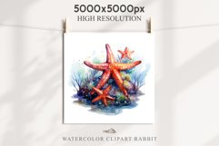 Ocean Sea Life Nautical Seascape Starfish Undersea World PNG Art Watercolor Transparent wedding invitation shirt designs sublimation printable bloom architecture