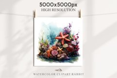 Ocean Sea Life Nautical Seascape Starfish Undersea World PNG Art Watercolor Transparent wedding invitation shirt designs sublimation printable bloom