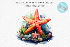 Ocean Sea Life Nautical Seascape Starfish Undersea World PNG Art Watercolor Transparent wedding invitation shirt designs sublimation printable bloom