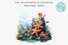 Ocean Sea Life Nautical Seascape Starfish Undersea World PNG Art Watercolor Transparent wedding invitation shirt designs sublimation printable bloom