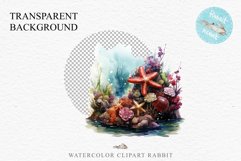 Ocean Sea Life Nautical Seascape Starfish Undersea World PNG Art Watercolor Transparent wedding invitation shirt designs sublimation printable bloom