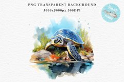 Ocean Sea Turtle Life Nautical Seascape Undersea World Fish PNG Art Watercolor Transparent wedding invitation shirt designs sublimation printable bloom