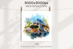 Ocean Sea Turtle Life Nautical Seascape Undersea World Fish PNG Art Watercolor Transparent wedding invitation shirt designs sublimation printable bloom