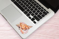 Ocean Seashell Sticker Clipart Bundle Product Image 4