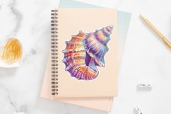 Ocean Seashell Sticker Clipart Bundle Product Image 3