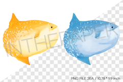Yellow Blue Ocean Sunfish PNG Clipart Summer Ocean Illust Product Image 1