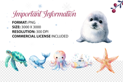 Ocean Undersea Water Clipart Set 40 PNG Clipart | Big Pack Product Image 5