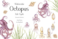 Watercolor Octopus Life Cycle Set Bundle Product Image 1