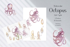 Watercolor Octopus Life Cycle Set Bundle Product Image 2