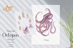 Watercolor Octopus Life Cycle Set Bundle Product Image 5