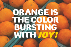 Udogi Sans - A Clean and Versatile Font Product Image 9