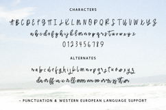 Offing Script Product Image 10