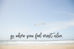 Offing Script Product Image 7