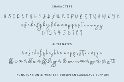 Offshore Script Product Image 10