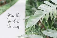 Offshore Script Product Image 6