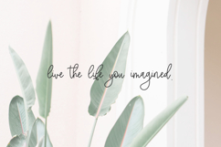 Offshore Script Product Image 7