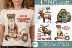 Old-Fashioned Toy Shelf Animals Sublimation Product Image 1