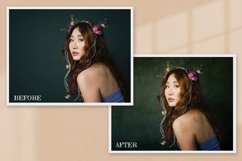 Old Master Overlay Photography Product Image 9