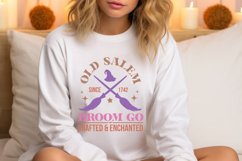 Old Salem Since 1742 Broom Go Hand Crafted &amp; Enchanted Product Image 1