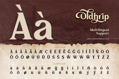 Oldhrip - Classic Serif Product Image 11